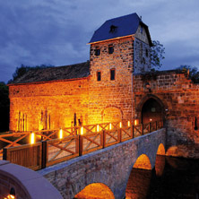 Farm der Tiere 17.06.2026 Burg Bad Vilbel
